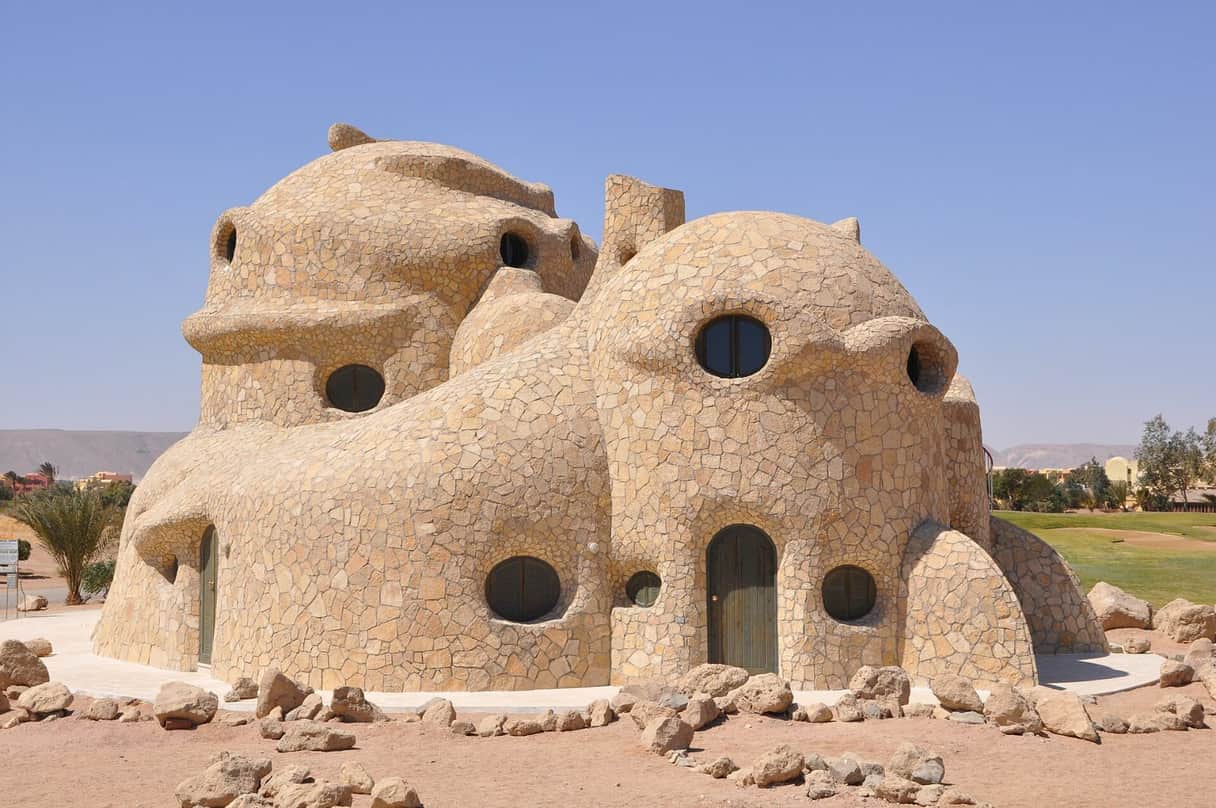 Abou Dabbab : nager avec les tortues vertes à Marsa Alam