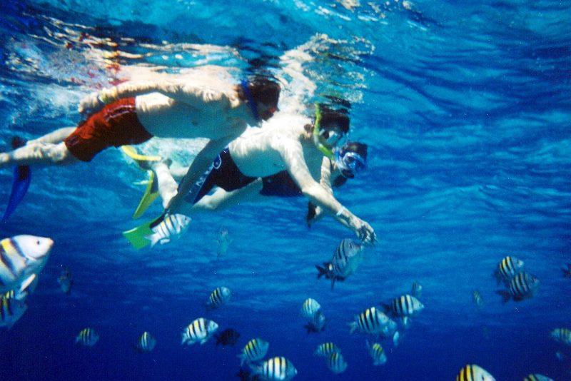 Faire du snorkeling avec des lunettes, ou sans savoir nager