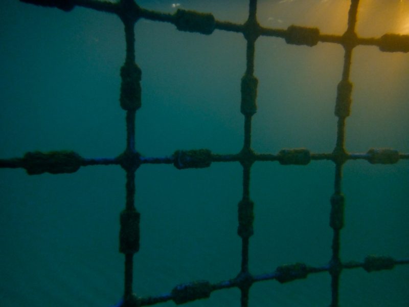 Des photos sous-marines qui ne soient ni bleues ni floues