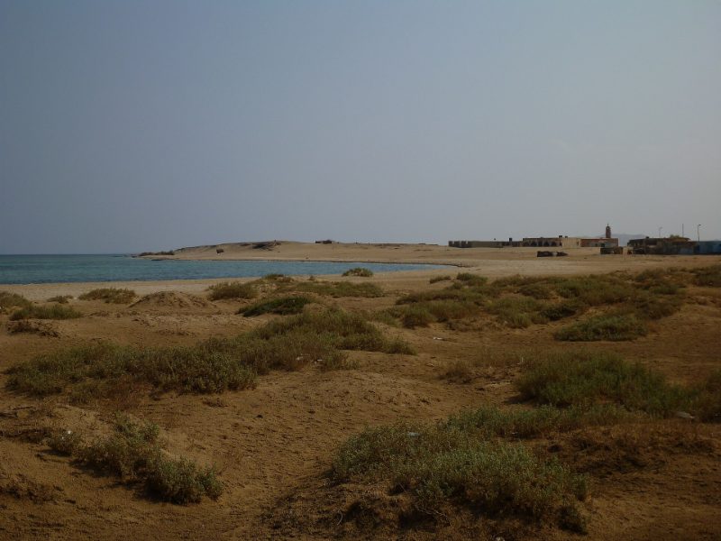 Wadi El Gemal : le meilleur parc national d'Égypte, presque désert