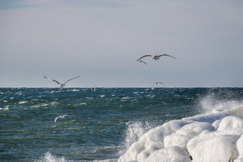 Quand le vent annule votre sortie en mer