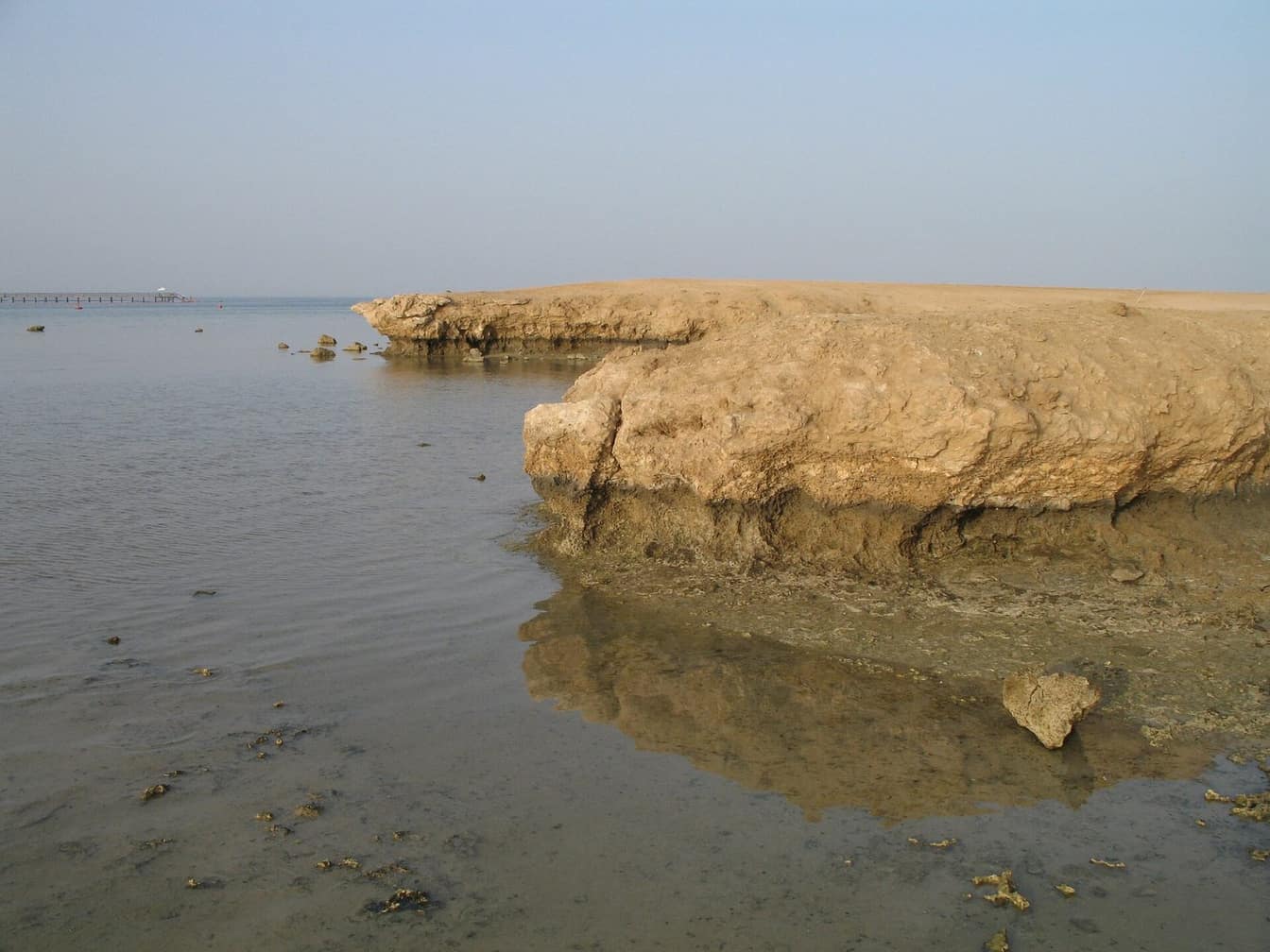Abou Dabbab : nager avec les tortues vertes à Marsa Alam
