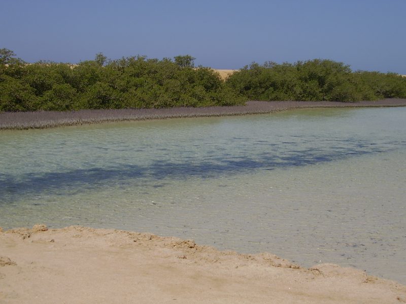 Ras Mohammed National Park Snorkelling Cruise