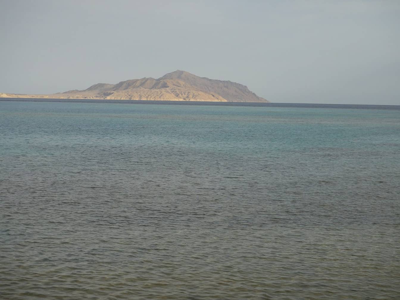 Tiran Island Reefs — Full Day by Boat — photo 4