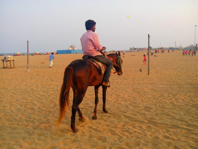 Équitation et baignade à cheval