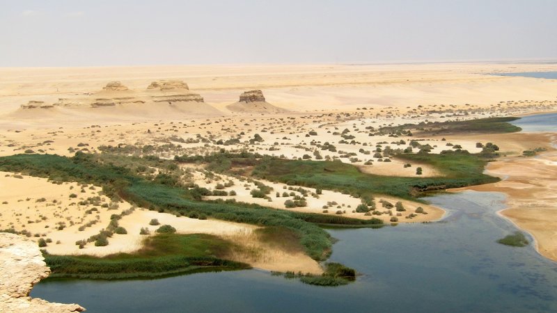 Le Fayoum