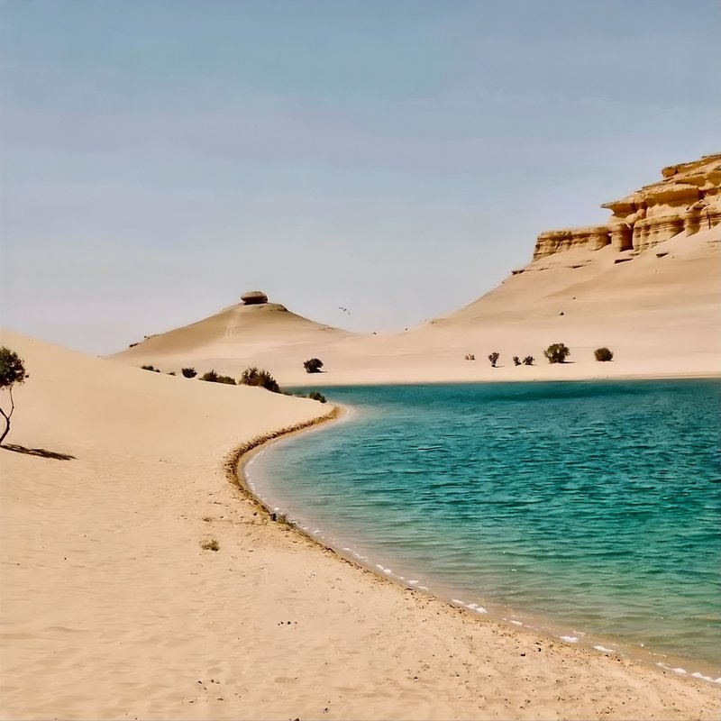 Journée au Fayoum depuis Le Caire — lacs, cascades et vallée des baleines