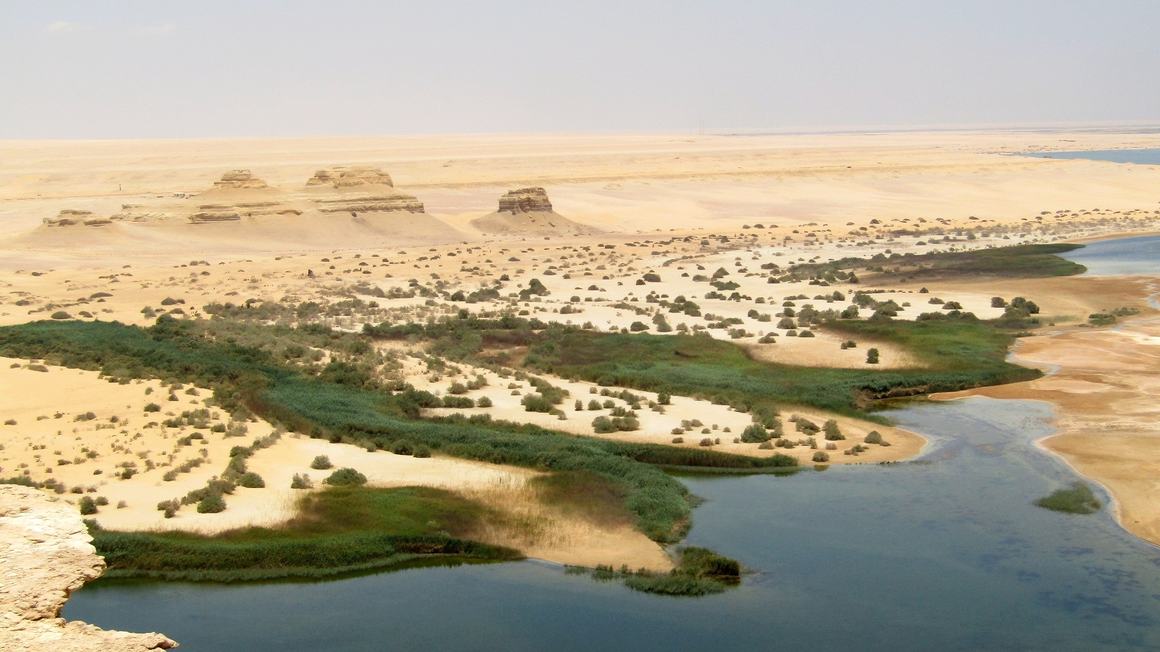 Journée au Fayoum depuis Le Caire — lacs, cascades et vallée des baleines — photo 3