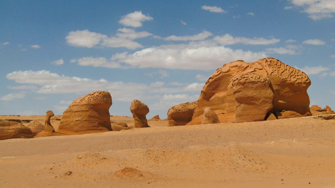 Journée au Fayoum depuis Le Caire — lacs, cascades et vallée des baleines — photo 4