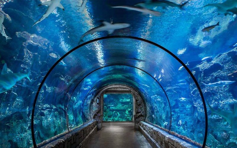 Grand aquarium et mini-zoo d'Hurghada