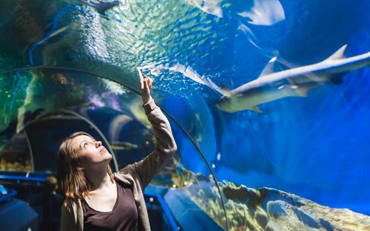 Grand aquarium et mini-zoo d'Hurghada — photo 2