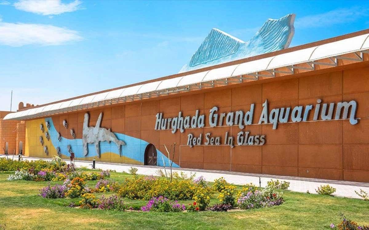 Grand aquarium et mini-zoo d'Hurghada — photo 3