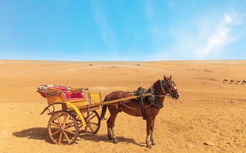 Balade en calèche dans Hurghada