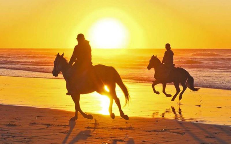 Balade à cheval entre plage et désert