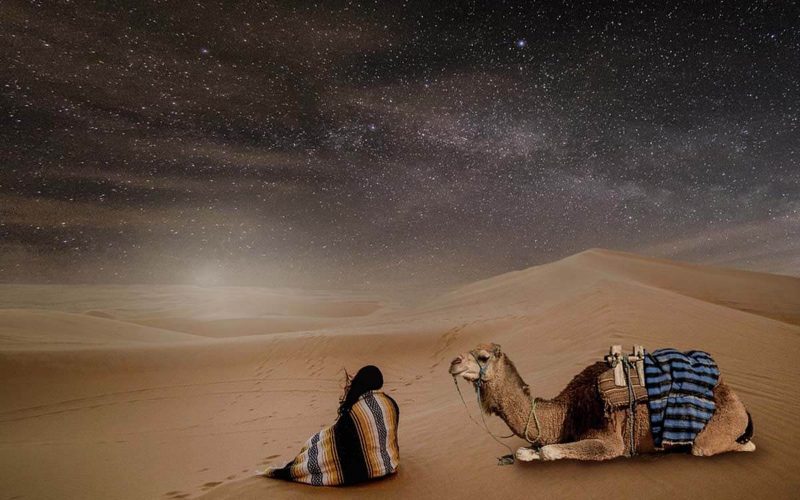 Fantastic Sahara — programme désert complet