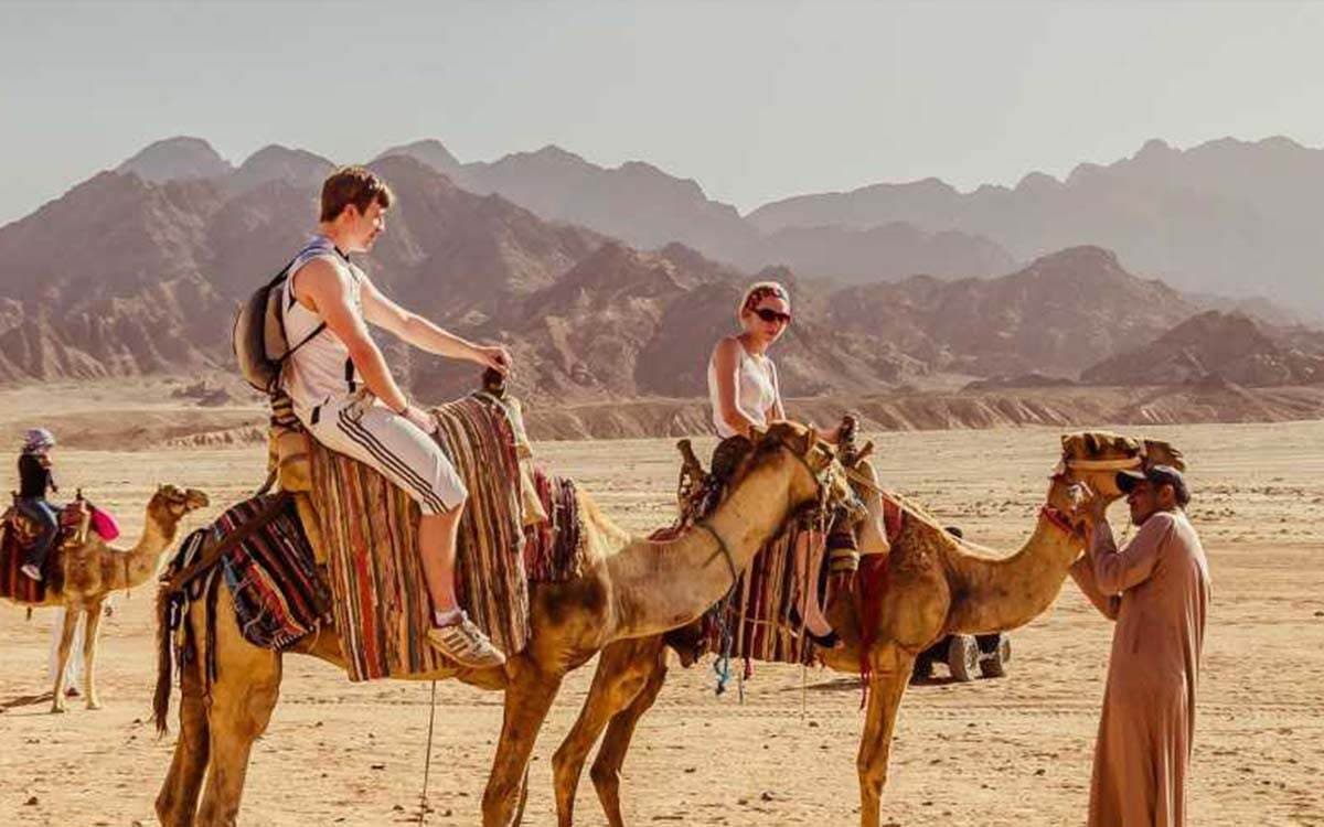 Fantastic Sahara — programme désert complet — photo 3
