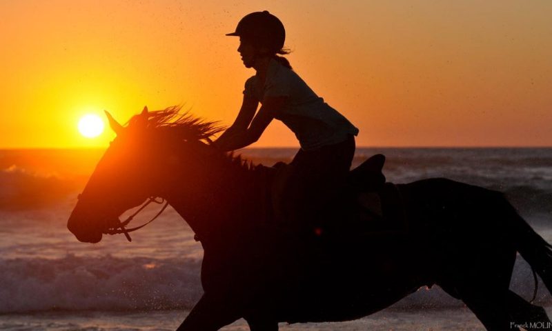 Balade à cheval au lever du soleil