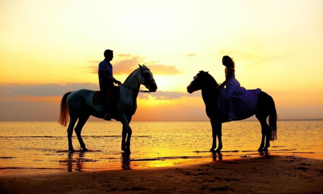 Balade à cheval au lever du soleil — photo 2
