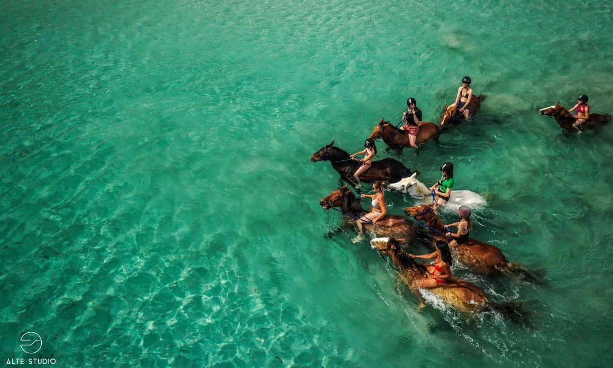 Balade à cheval au lever du soleil — photo 3