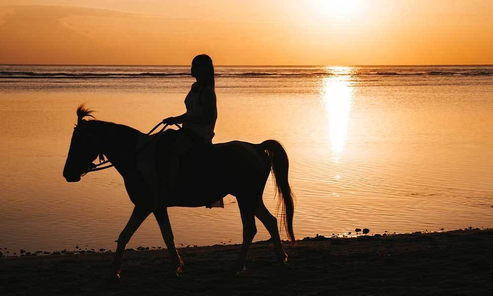 Balade à cheval au lever du soleil — photo 4