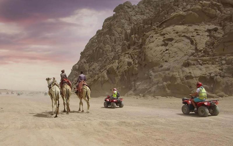 Super safari — jeep, quad, chameau et spectacle