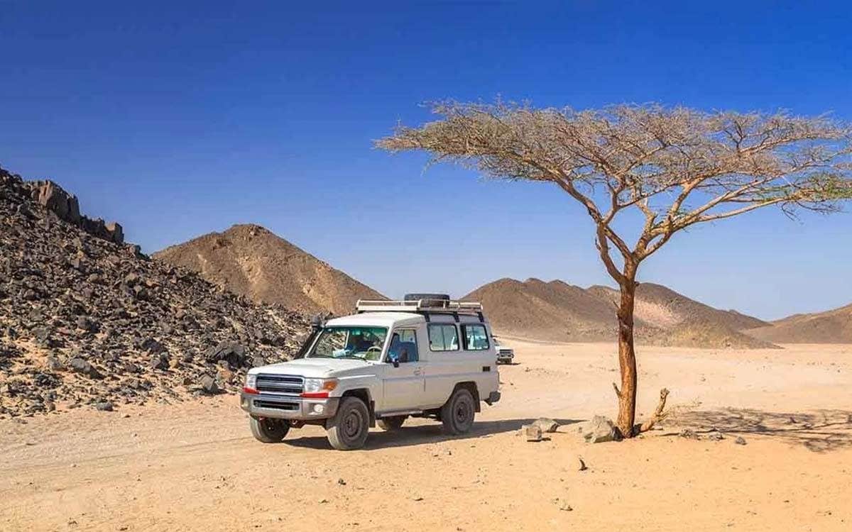 Super safari — jeep, quad, chameau et spectacle — photo 4