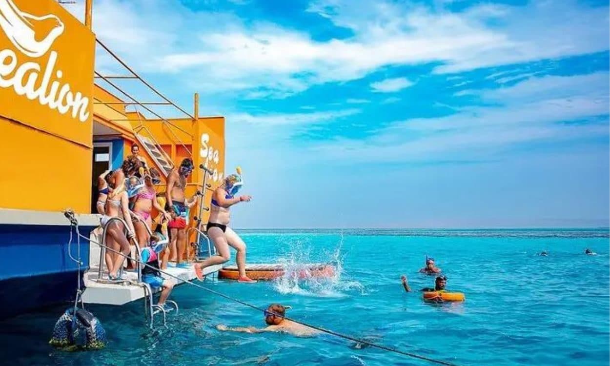 Bateau à fond de verre Panorama Wolf — photo 3