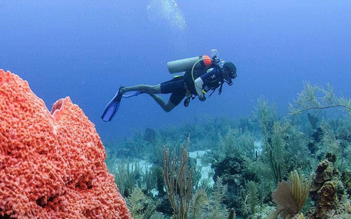 Baptême de plongée sous-marine — photo 2