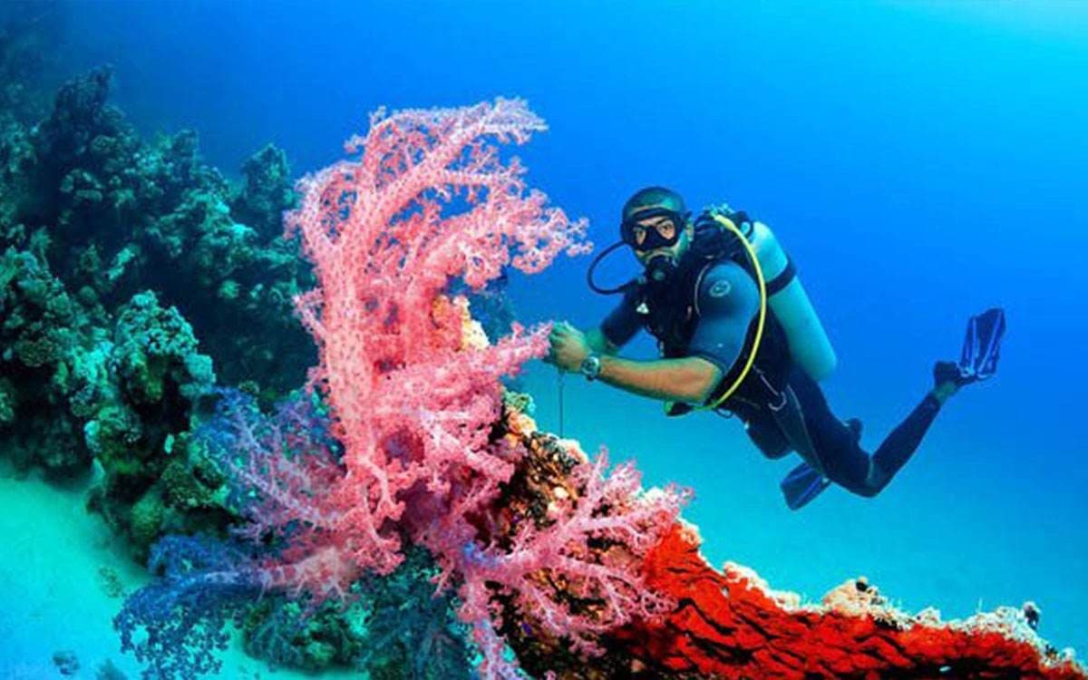 Baptême de plongée sous-marine — photo 3