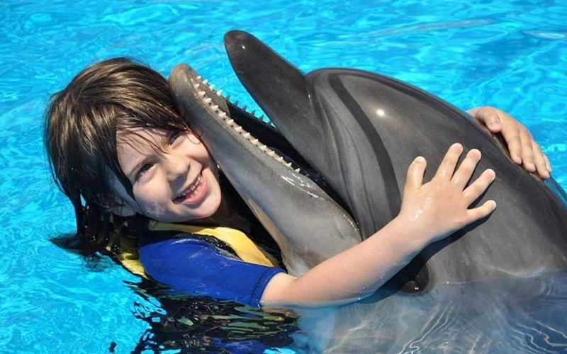 Séance photo avec les dauphins