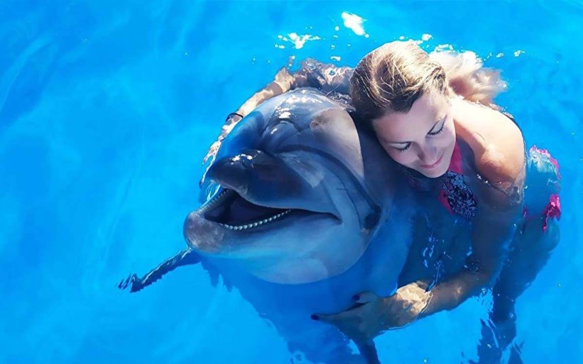 Séance photo avec les dauphins — photo 2