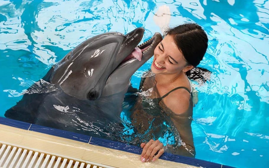 Séance photo avec les dauphins — photo 3