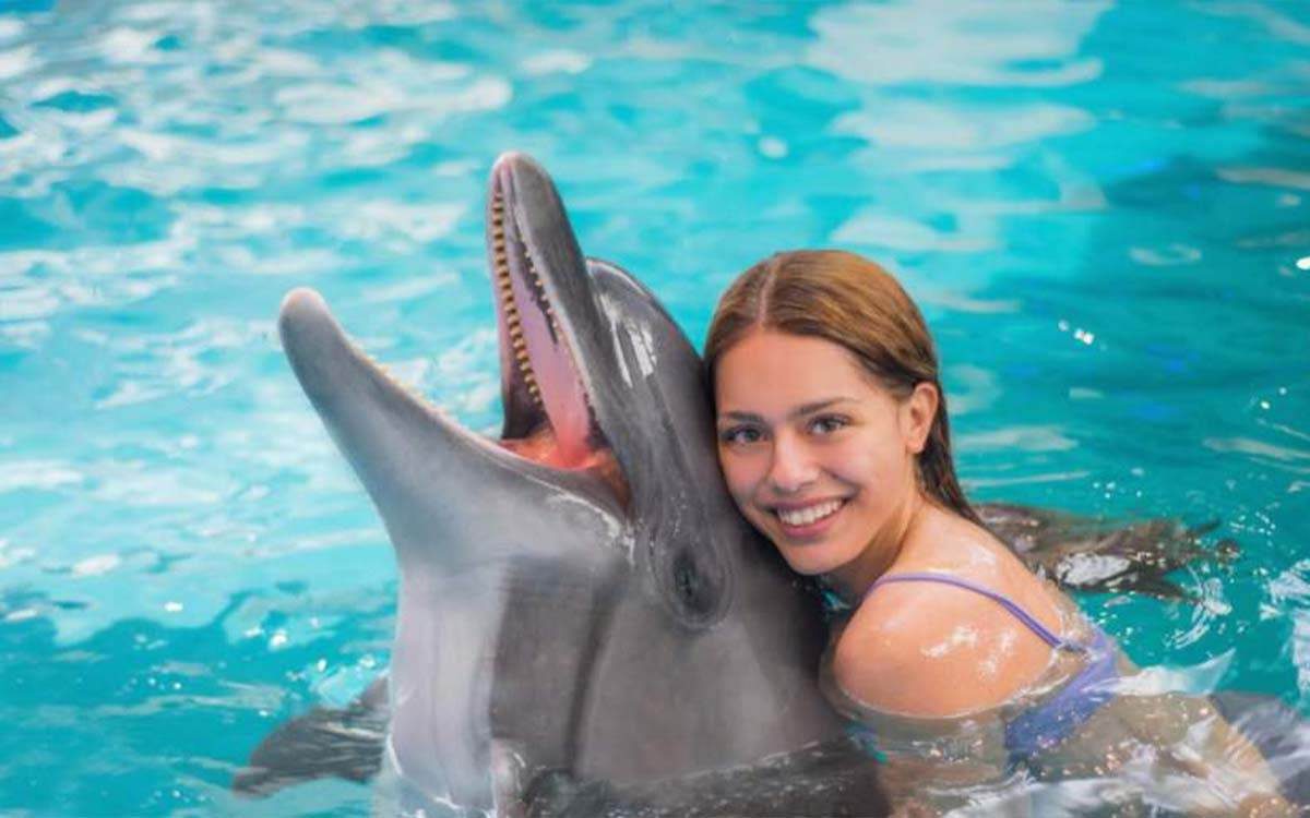 Séance photo avec les dauphins — photo 4