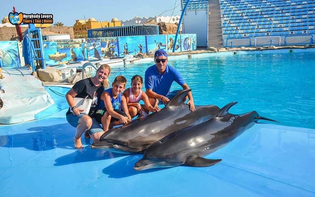 Spectacle de Dolphin World — photo 4